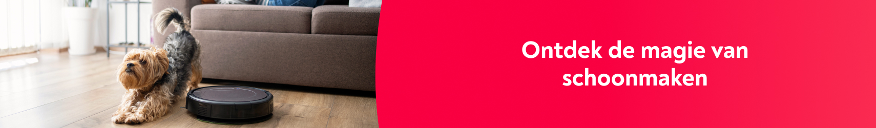 Ontdek de magie van schoonmaken