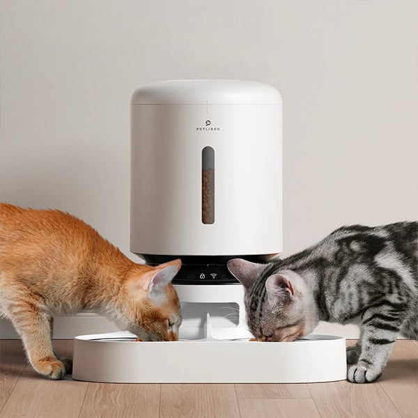 Een voedseldispenser met twee voerbakken, n voor elke kat elk hun eigen voerbak hebben