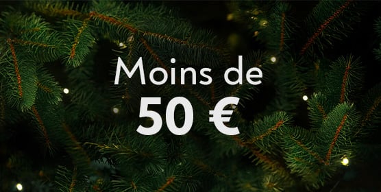 Cadeaux � moins de 50 euros 