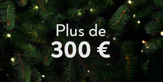 Carte cadeau digitale Fnac Vanden borre  rt