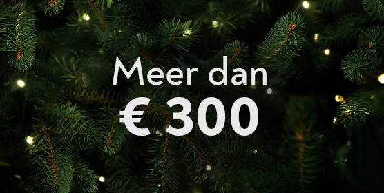 Fnac Vanden Borre digitale cadeaukaart