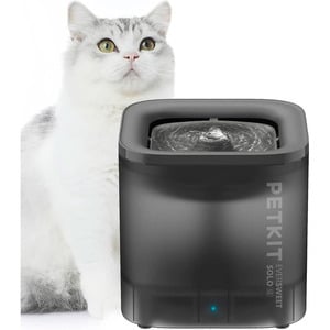 Drinkfonteinen voor katten