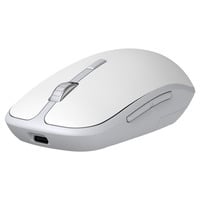 WIRELESS BT&DONGLE WHITE