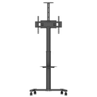 ESSENTIAL T1031