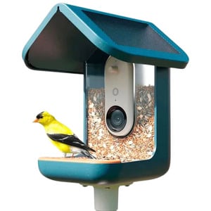 BIRDBUDDY SMART BIRD FEEDER