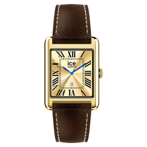 ICE WATCH SMART TKS 2.0 GD/CHO G 32