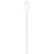 APPLE CV MAGSAFE CHARGE 2M