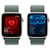 APPLE Watch SE GPS 44mm Starlight Aluminium Case with Lake Green Sport Loop