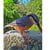 BIRDBUDDY SMART BIRD FEEDER