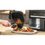 BOSCH MAFD440B1