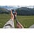 DJI OSMO 360 II ADVENTURE COMBO