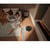 DREAME MATRIX 10 ULTRA MET MULTIFUNCTIONNEL DOCK BLACK