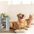 DREAME PET ODOR SOLUTION