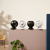 DUUX DXCF07 GLOBE FAN BLACK