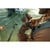 GOPRO HERO13 BLACK ACC. BUNDLE (2026)