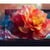 HISENSE 43E79S (2026)