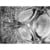 HISENSE WF1i9042BWP2BE/X