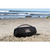 JBL BOOMBOX 3 BLACK