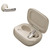 JBL LIVE FLEX 4 CHAMPAGNE
