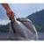 JMGO PORTABLE POWER BANK TRIPOD