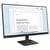 LENOVO L24-4E