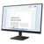 LENOVO L24-4E
