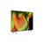 LG B5 OLED 4K 65 POUCES OLED65B56LA (2025)