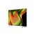 LG B5 OLED 4K 65 POUCES OLED65B56LA (2025)