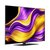 LG G5 OLED evo 4K 65 INCH OLED65G56LS (2025)