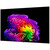 LG OLED77G67LW (2026)