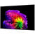 LG OLED83G67LW (2026)
