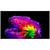 LG OLED97G67LW (2026)