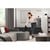 MIELE TRIFLEX HX3 CAT 
