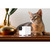 PETCUBE CAM 360