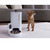 PETKIT YUMSHARE SOLO WITH CAMERA