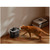 PETLIBRO DOCKSTREAM SMART WATER FOUNTAIN BLACK