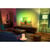 PHILIPS 42OLED811/12 (2026)
