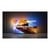 PHILIPS 55OLED801/12