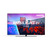 PHILIPS AMBILIGHT OLED 4K 55 POUCES 55OLED851/12 (2026)