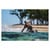 SHOKZ OPENSWIM PRO USB-C GREY