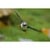SONY ALPHA 6700 WILDLIFE KIT