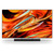 SONY K75XR79M2PB (2026)
