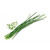 VERITABLE LINGOT ORGANIC CHIVES