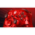 XBOX WIRELESS PULSE CIPHER EDITION