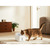 XIAOMI SMART PET FOUNTAIN 2 EU