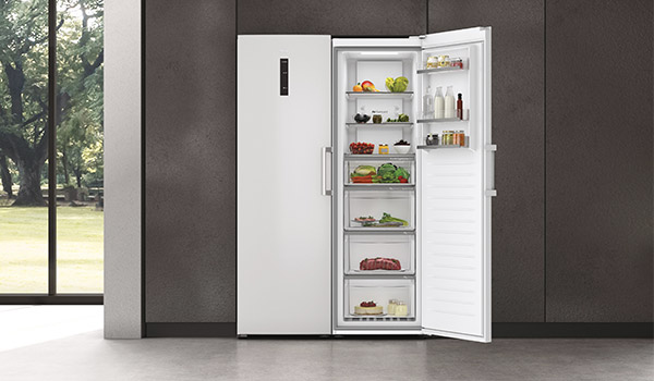 Switchez dun conglateur vers un frigo
