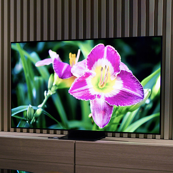 Ingezoomd beeld van het scherm van een Samsung OLED S95B TV