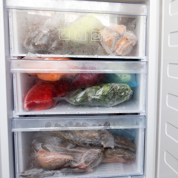 Conglateur  3 tiroirs o sont stocks du poisson et d'autres aliments.